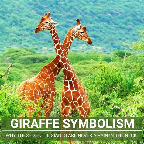 Giraffe: A Symbolic Interpretation of a Dream