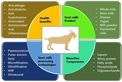 Goat Milk: A Potential Aid in Managing Blood Pressure