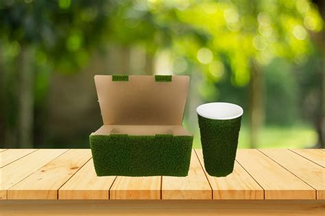 Going Sustainable: Eco-Friendly Containers for a Greener Future