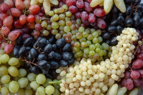 Grape Trees: An Extensive Guide to Different Varieties