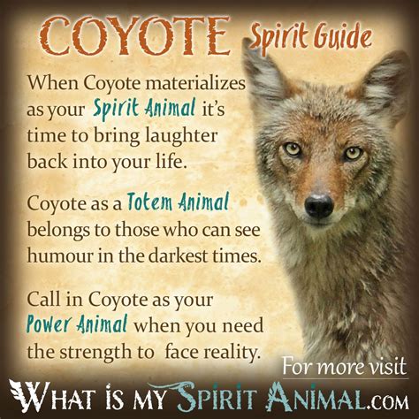 Gray Coyotes as Messengers from the Spirit World