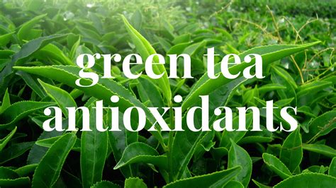 Green Tea as a powerhouse of antioxidants