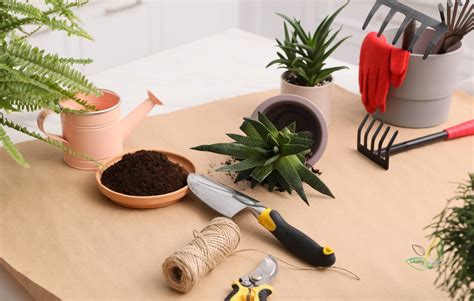 Green Thumbs Up: Essential Tools for a Thriving Garden