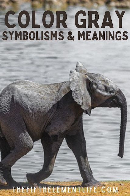 Grey as the Shade of Ambiguity: Unraveling the Symbolic Significance