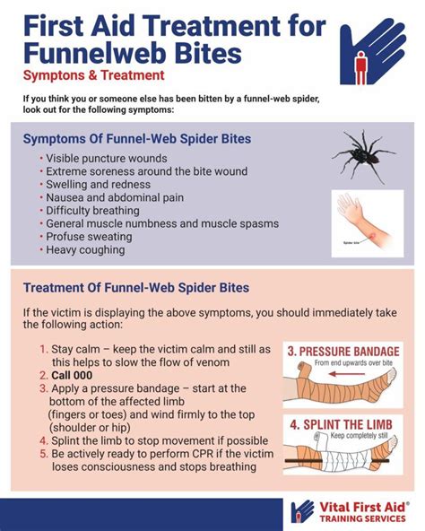 Guidance and Advice for Those Who Experience Spider Bites in Their Dreams