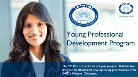 Guidance for Emerging Young Professionals