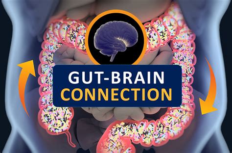 Gut Health and Bloating: Unraveling the Connection