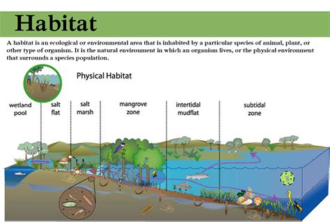 Habitat and Distribution