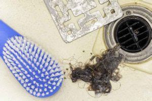 Hair, Grease, and Other Culprits: Understanding the Culprits Behind Clogged Drains