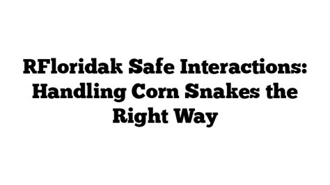 Handling and Training: Developing Safe Interactions with Your Serpent Companion