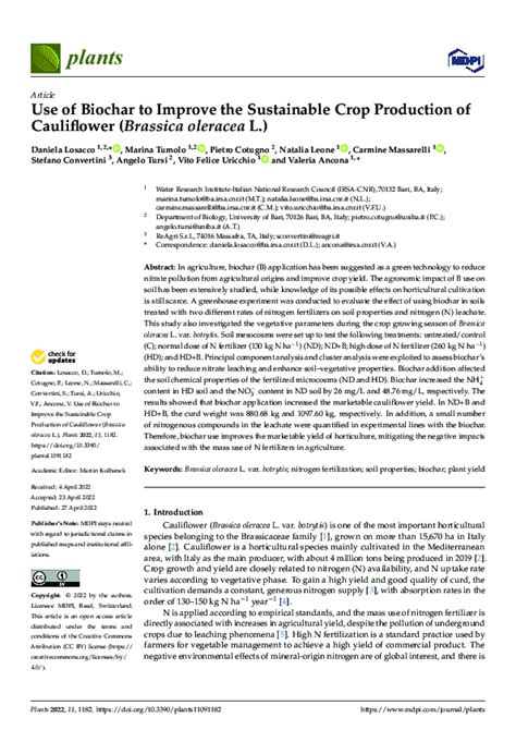 Harnessing the Enormous Brassica oleracea: Revolutionary Applications and Sustainable Approaches