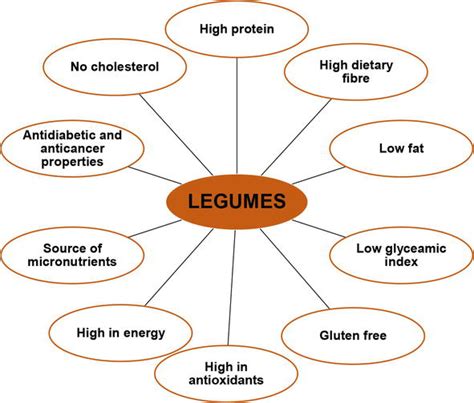 Harnessing the Nutritional Potential of Verdant Legumes