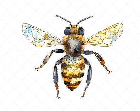 Harnessing the Potency of the Majestic Bee in Your Life