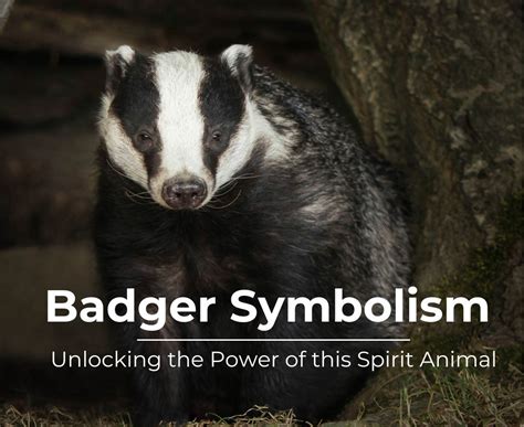 Harnessing the Power of Badger Symbolism in Waking Life