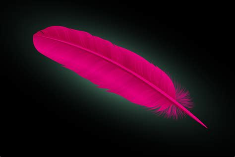 Harnessing the Power of Pink Feather Dreams: Tips for Interpretation and Growth