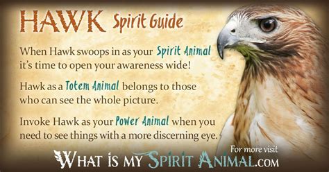 Hawks as Spirit Animals: What They Represent