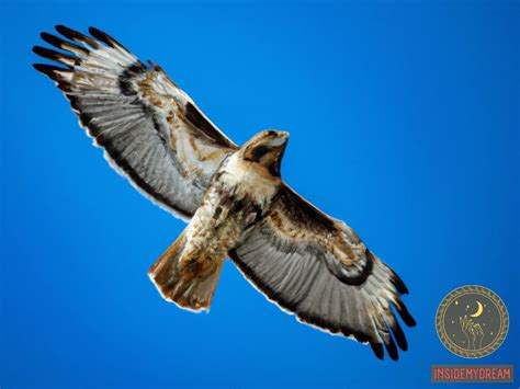 Hawks in Dream Interpretation: Decoding their Symbolism and Significance