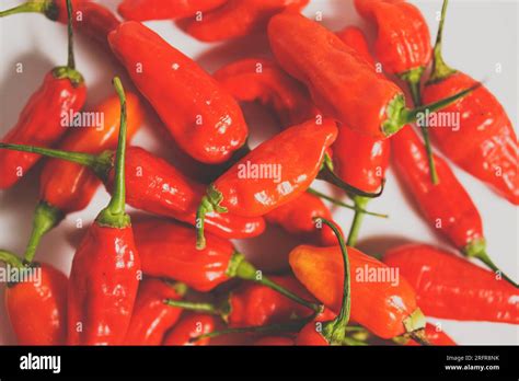 Healing Heat: The Health Benefits of Red Chilli