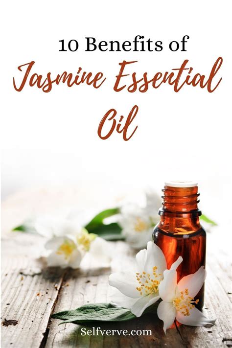 Healing Powers: Aromatherapy Benefits of the Enchanting Jasmine Plant