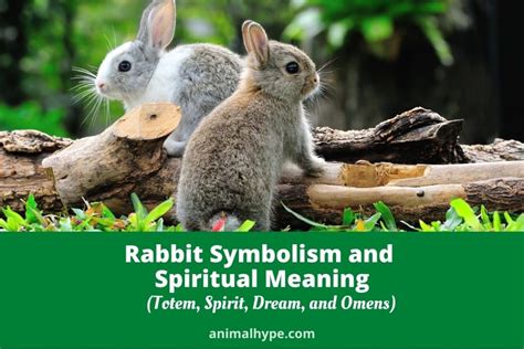 Healing and Transformation: Exposing the Symbolic Significance of Rabbit Waste as a Indication of Personal Growth