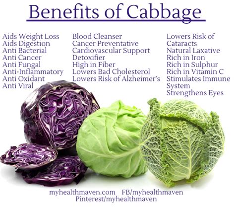 Health Benefits of Cabbage: How this Nutrient-Rich Veggie Enhances Your Well-being