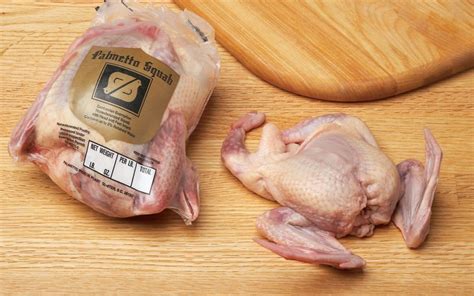 Health Benefits of Including Squab in Your Diet