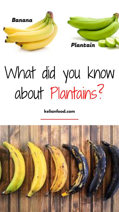 Health Benefits of Plantain: Promoting Digestion and Boosting Immunity