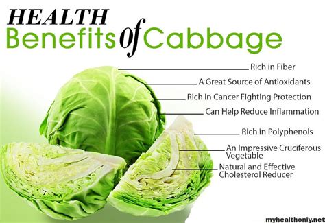 Health Benefits of Stuffed Cabbage: A Nutritious Delight