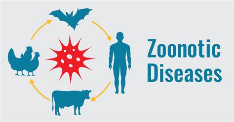 Health Risks and Zoonotic Diseases