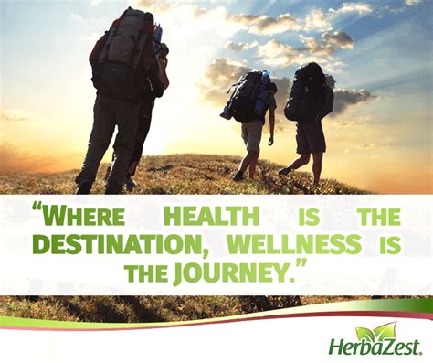 Health and Wellness Journey