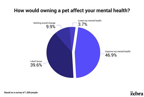 Healthcare and Veterinary Needs for Zebra Ownership