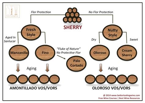 Height, Figure, and Style of Sherry D