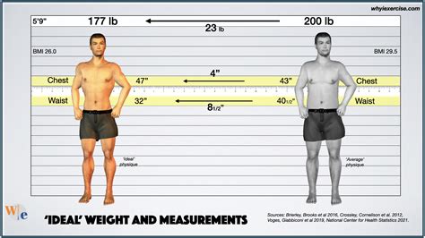 Height, Physical Measurements, and Aesthetic