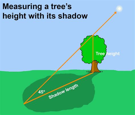 Height: From Shadows to Limelight