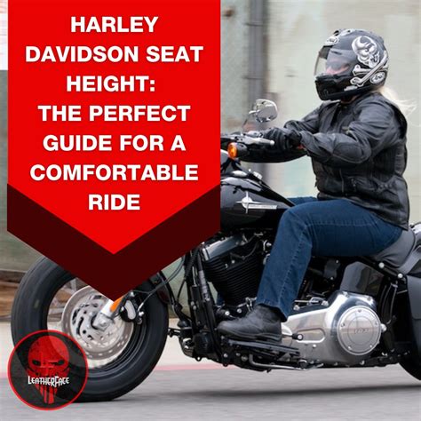 Height: How Tall is Harley?