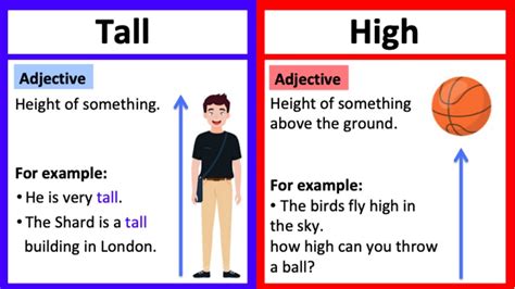 Height: How Tall is he?