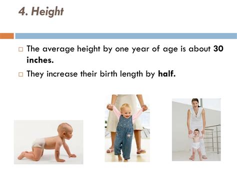 Height: Learn About Meribeth Diaz's Physical Stature