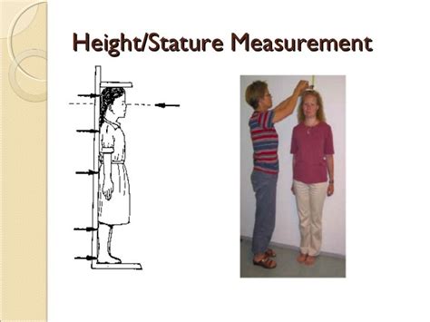 Height: Learn about Calista's stature