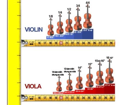 Height: The Statistic of Viola