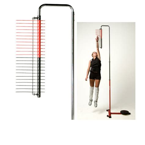 Height - Discover Aivha's Vertical Measurement