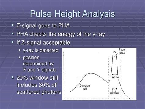 Height Analysis