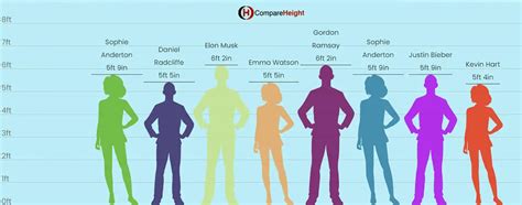 Height Comparison: Lois's Stature in Comparison to Others