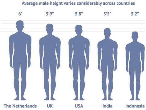 Height Comparisons and Visual Impression