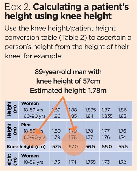 Height Figure Analysis