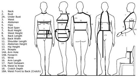 Height and Body Measurements Exposed