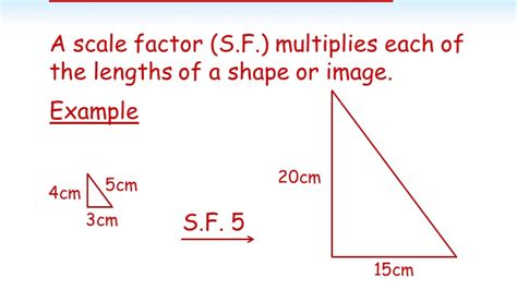 Height and Figure: The Factors that Set Elizabete Rumjanceva Apart