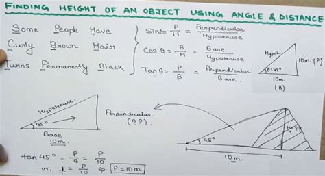 Height and Figure: The Real Deal