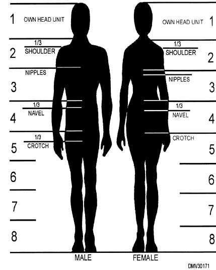 Height and Figure: The Stats