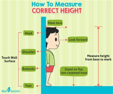 Height and Figure: What to Expect