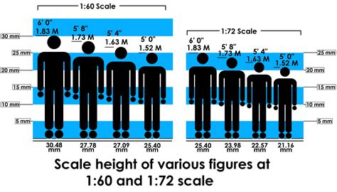 Height and Figure Description